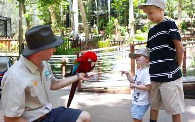 Take the Aussie Wildlife Course at Currumbin Wildlife Sanctuary