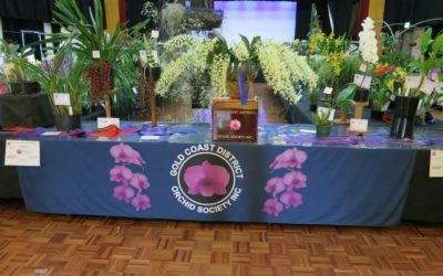 Enjoy a Fantastic Array of Orchids at Spring Show 2018