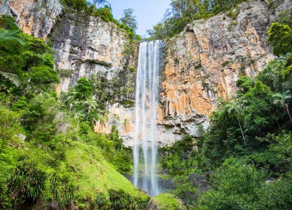 Discover the Best Gold Coast Hinterland Day Trips